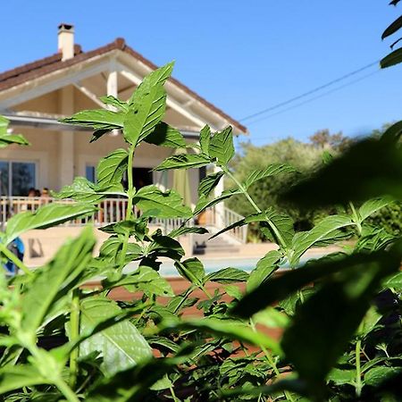 Maison Les Coquelicots 里昂 外观 照片